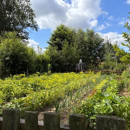 Bialogarda * Wicko (Pomerania)