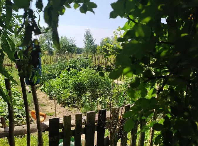 Bialogarda Дом отдыха